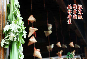 端午節(jié)為什么掛艾草？端午節(jié)掛艾草的由來