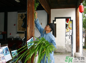 端午節(jié)門上掛的那個草叫什么？端午節(jié)掛門上的叫什么？
