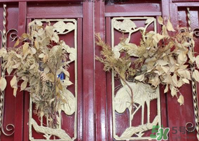 端午節(jié)門上掛的那個草叫什么？端午節(jié)掛門上的叫什么？