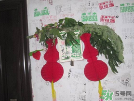 端午節(jié)門上掛的那個草叫什么？端午節(jié)掛門上的叫什么？