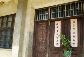 端午節(jié)插門上的是什么？端午節(jié)為什么要插艾草？