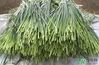 蒜薹跟什么相克？蒜薹不能和什么一起吃