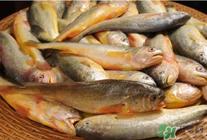 端午節(jié)為什么要吃黃魚(yú)？端午節(jié)吃黃魚(yú)的由來(lái)