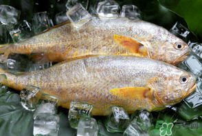 端午節(jié)為什么要吃黃魚(yú)？端午節(jié)吃黃魚(yú)的由來(lái)