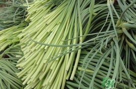 蒜薹怎么保存？蒜薹如何保存