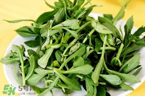 養(yǎng)心菜能生吃嗎？養(yǎng)心菜怎么吃？