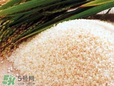 包粽子的米要泡多久？包粽子的米是什么米？