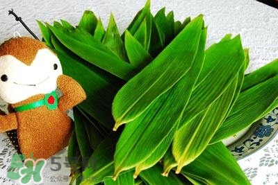 包粽子的葉子叫什么？包粽子的葉子怎么處理？