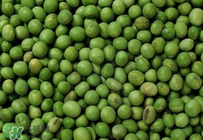 青豆可以打豆?jié){嗎？青豆能做豆?jié){嗎？