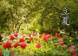 ?立夏是夏天嗎？?立夏是夏天的開始嗎？