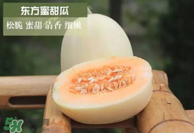 甜瓜可以帶上飛機(jī)嗎？坐飛機(jī)可以帶香瓜嗎？