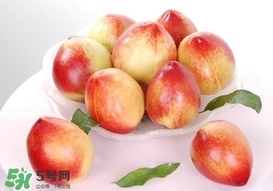 油桃什么時候成熟？油桃什么季節(jié)成熟