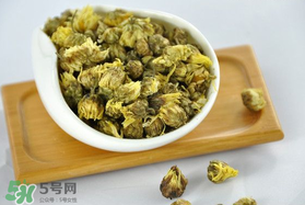 立夏喝菊花好嗎？立夏能吃苦菊嗎？