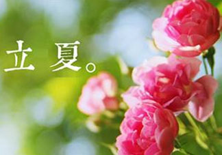立夏開什么花？立夏有什么花？