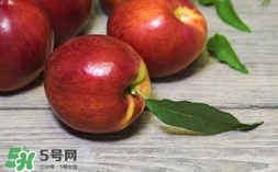 油桃什么時候成熟？油桃什么季節(jié)成熟