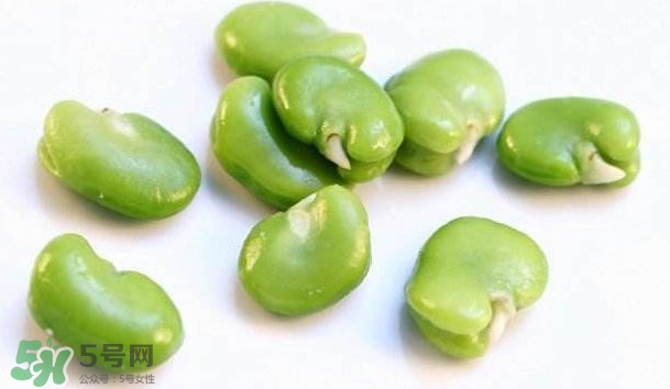 青蠶豆怎么保存？剝好的蠶豆怎么保存