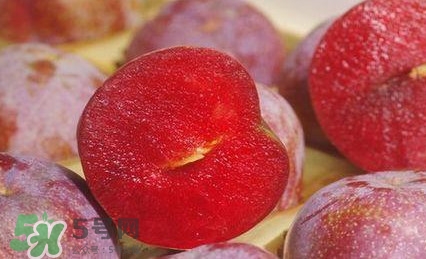三華李多少錢一斤？三華李價(jià)格