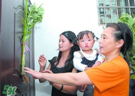 端午節(jié)為什么要掛菖蒲？端午節(jié)掛菖蒲的好處