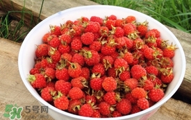 山莓是覆盆子嗎？山莓和覆盆子的區(qū)別