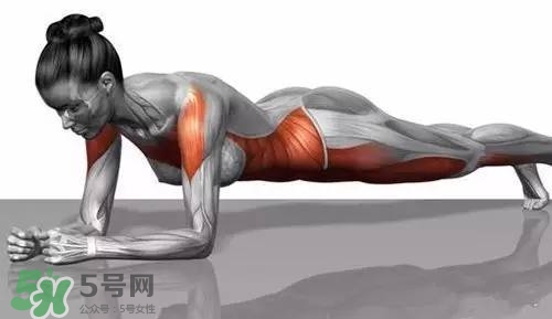 堅(jiān)持做一個(gè)月平板支撐會怎樣？女生做平板支撐一個(gè)月