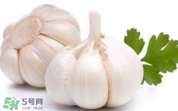 蒜頭發(fā)芽能吃嗎？蒜頭發(fā)芽可以吃嗎？