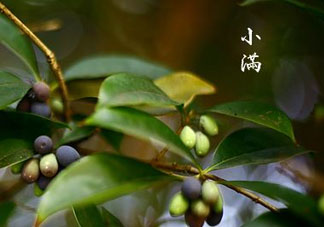 2017年小滿會(huì)下雨嗎？2017年小滿下雨好嗎？