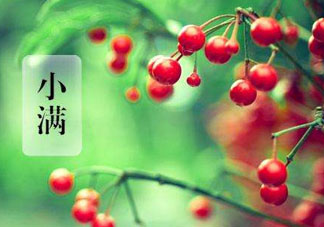 小滿是什么節(jié)氣？小滿是第幾個節(jié)氣？