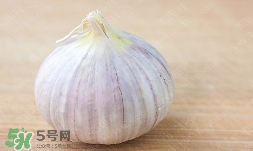 新鮮蒜頭怎么保存？蒜頭怎么保存不發(fā)芽
