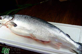 三文魚可以放多久？三文魚能放多久？