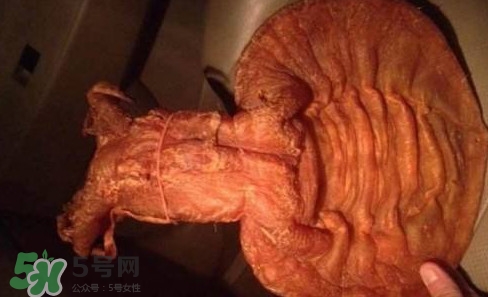 黃唇魚魚鰾是什么？魚鰾是魚的哪個部位