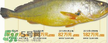 孕婦能吃金錢鱉嗎？懷孕期間能不能吃金錢鱉？