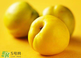 油桃和芒果可以一起吃嗎？芒果和油桃能一起吃嗎？