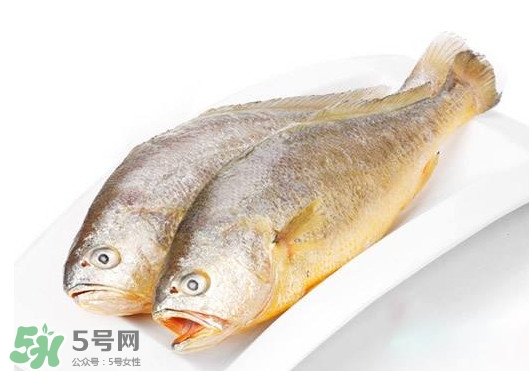 黃唇魚(yú)是不是黃花魚(yú)？黃唇魚(yú)和黃花魚(yú)的區(qū)別
