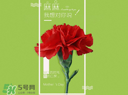2017年母親節(jié)會(huì)打折嗎？2017年母親節(jié)有什么優(yōu)惠活動(dòng)？