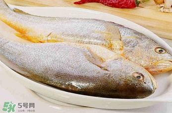 黃花魚多少錢一斤？野生黃花魚多少錢一斤