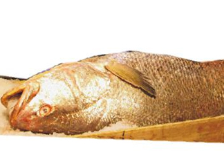黃唇魚是不是黃花魚？黃唇魚和黃花魚的區(qū)別