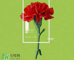 母親節(jié)送什么禮物給老婆？2017年母親節(jié)送老婆禮物推薦
