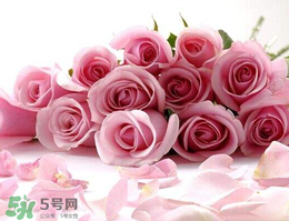 母親節(jié)送什么禮物給老婆？2017年母親節(jié)送老婆禮物推薦