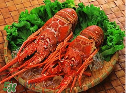 什么時候釣龍蝦最好？龍蝦幾月份能釣？