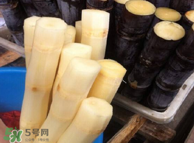 五月份還有甘蔗嗎？5月份還有甘蔗嗎？