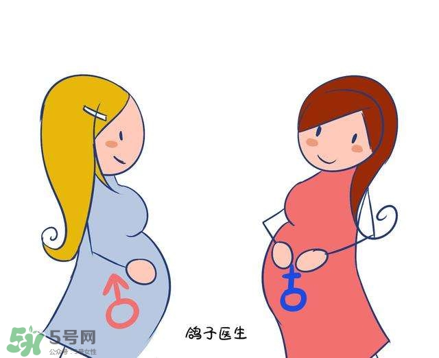 怎么問醫(yī)生胎兒性別？醫(yī)生會告訴胎兒性別嗎？
