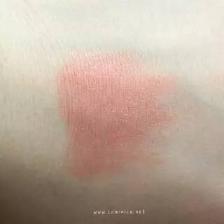 西柚色口紅有哪些？西柚色口紅推薦