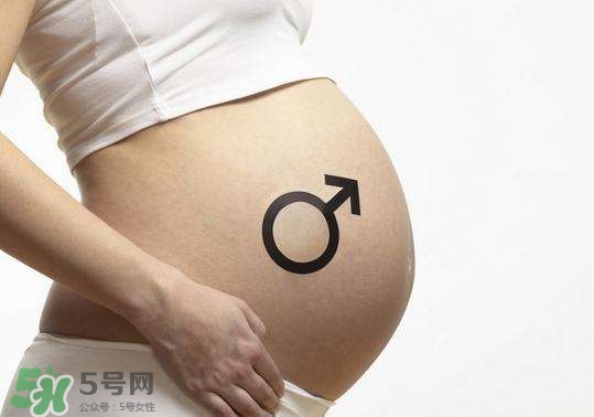 怎么問醫(yī)生胎兒性別？醫(yī)生會告訴胎兒性別嗎？