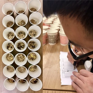 麥片什么牌子好？進(jìn)口麥片哪個牌子好吃