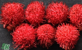 紅毛丹什么時(shí)候上市？紅毛丹什么季節(jié)有？
