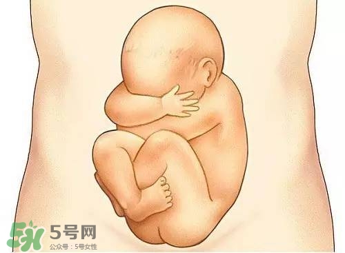 胎兒在媽媽肚子里都會(huì)干啥？胎兒的神奇世界