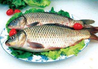 ?五月份吃什么魚？5月份吃什么魚？