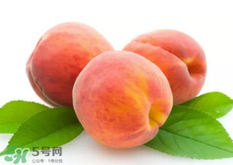 桃子為什么不能和西瓜一起吃？桃子和西瓜為什么不能一起吃？