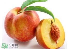 桃子可以放冰箱嗎？桃子能放冰箱保鮮嗎？