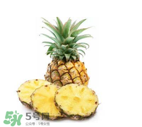 孕婦能吃菠蘿嗎？菠蘿孕婦能不能吃？